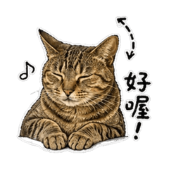 可愛的小主子