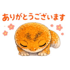 tantan_20260510232129