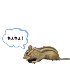 Chipmunk Ran