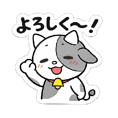 Sho_20260510233936