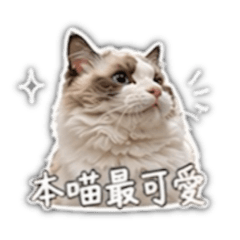 傲嬌媛媛｜才沒有在意你