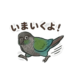 studiotorichan_20260510234538