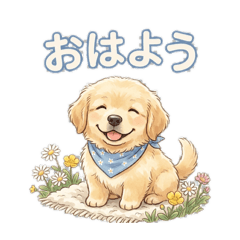 Koromo_20260510234037