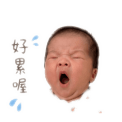 卓馬弟