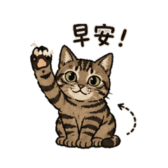 2D喵喵生活用語