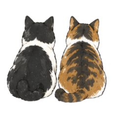 ku meow