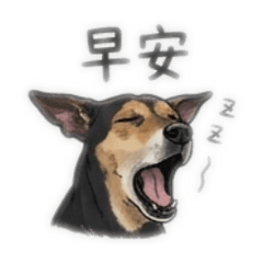 可可狗的日常生活（2）