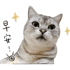 Kuka醬：賣萌真實日常
