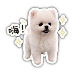 可愛a阿肥
