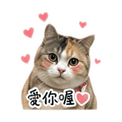 花皇后日常篇