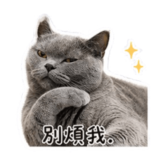 TT嘎滴