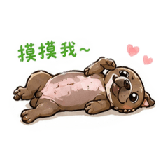 迪布與阿麻尼