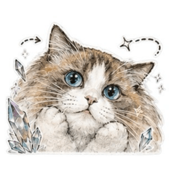 Crystal Cat 日常