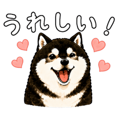 hachi-san_20260510234331