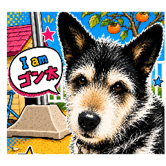 kenmo_20260510235742