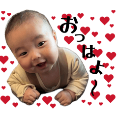 shino_20260510234603