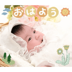 mofumofu_20260510235740