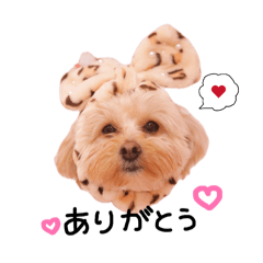 Komugi Everyday Stickers