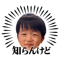 C_20260510224355