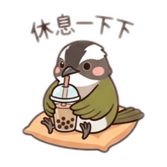 白頭翁小可愛