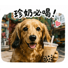 Miumiu旅遊日記2