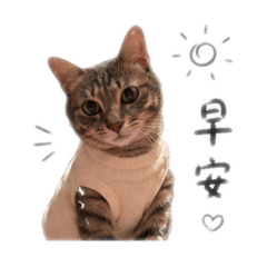 黑糖日常生活用語