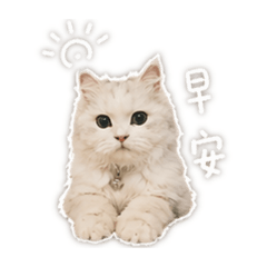 哈娜（妹妹）