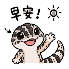 可愛守宮創作