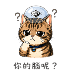 姚錢樹三兄妹（嘴砲篇）