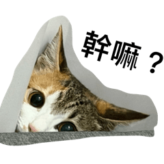 直衝