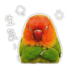 優吉王子