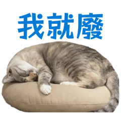 麥芽糖（麥麥）的日常