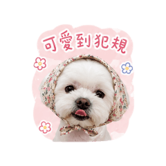 媽咪的錢阿寶