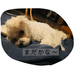 kaorinrin_20260511002822