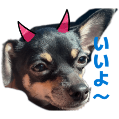 myon_20260511011124