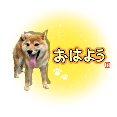 hn8793_20260511013638