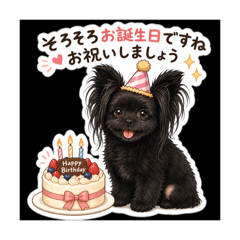 sanachannel_20260511064111