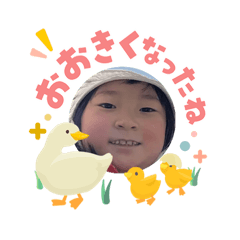 daisuke_20260511071642