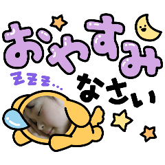 shizuku_20260511070435