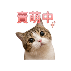 我是滷味