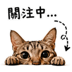 阿鼻的情緒表達