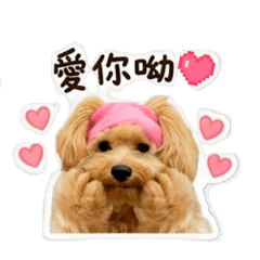 惡犬小諾