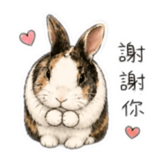 大胖麻糬