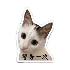 沅沅生活小日常