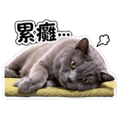 阿民民民