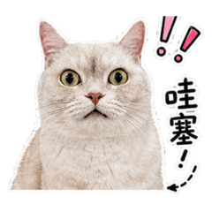 Meowmatmat奶茶貼圖