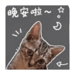 L小咪表情包2