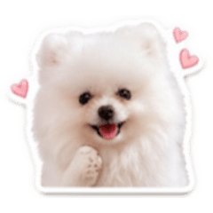 恩恩寶寶♡ 1