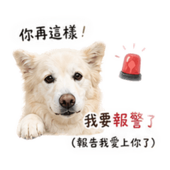 央央貼圖第一彈