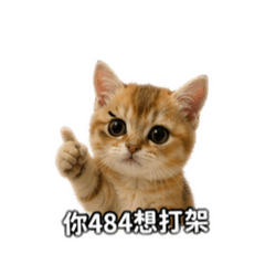 ponio波妞